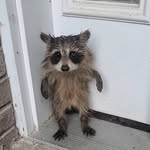 이상윤 • MODEL🇰🇷