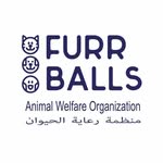 Furrballs Animal Welfare Organization - Cats
