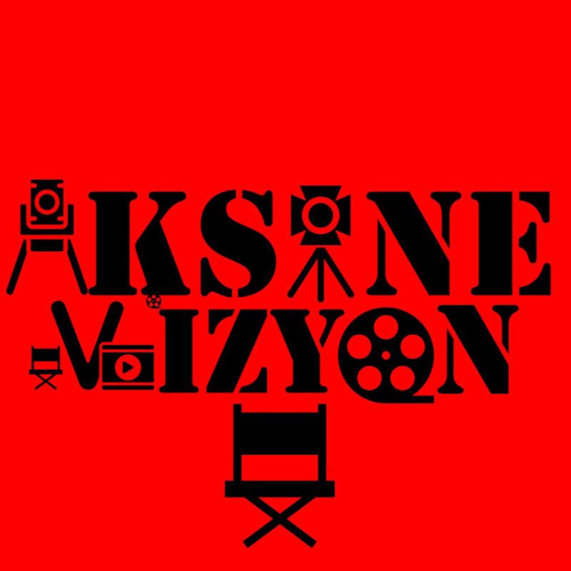 AKSİNE VİZYON
