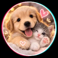 Funny Cats 🐾