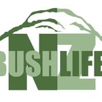 BushLife NZ