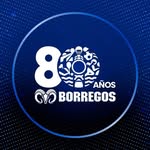 Borregos Santa Fe