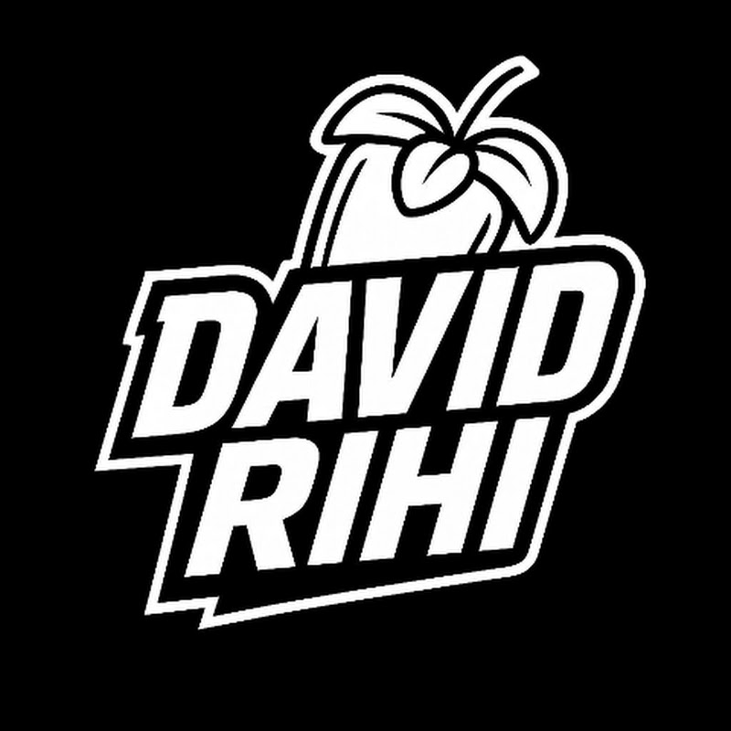 DAVID RIHI RMXR