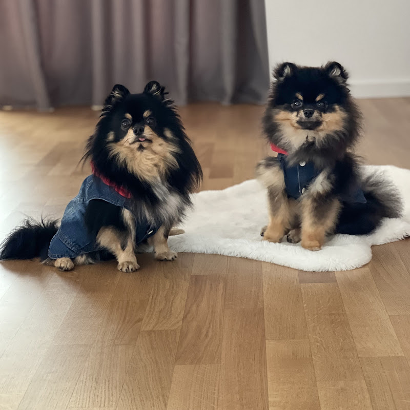 MyPomstars