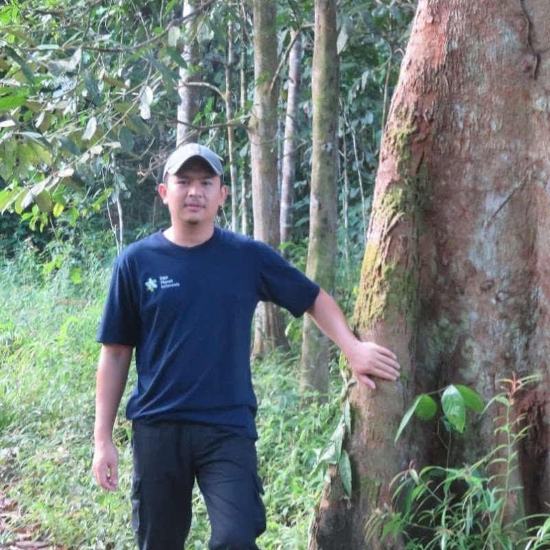 Mas Arif