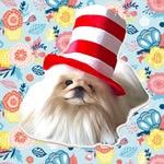 Powerfluff Pekingese & Cherry