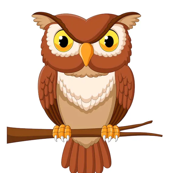 Owl Trading