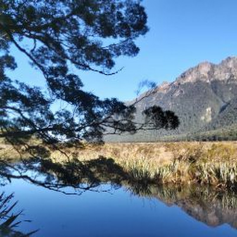 My New Zealand Journey