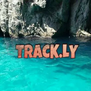 dgbtmr1