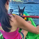 Vicki Yu 🏝🧘🏻‍♀️🐾