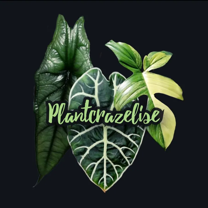 PlantCrazElise🌿