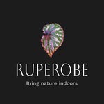 Ruperobe Stunning Plants