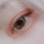 みしぇる