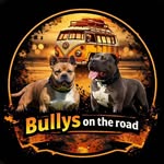 bullysontheroad