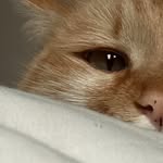 𝗡𝗮𝗹𝗮 ♡ 𝗘𝗺𝗺𝗶