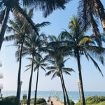 Ashy | Poorer The Explorer 🇿🇦