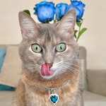 𝐆 𝐀 𝐋 𝐀 🇵🇪