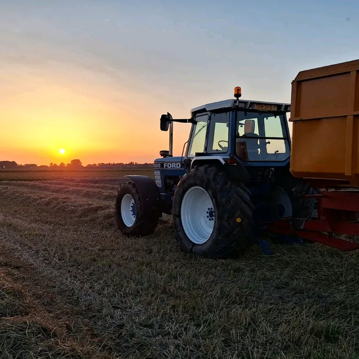 Krijn in 't Veld