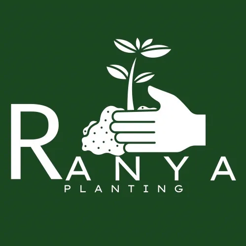 ranyaplanting