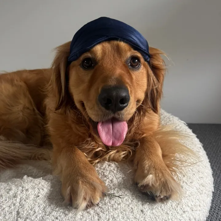 Maverick