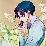 Maru ｡まる