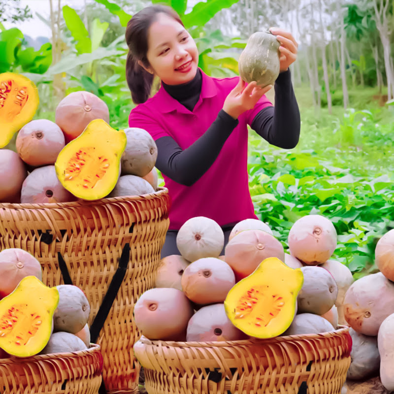 Nhung Harvest Life