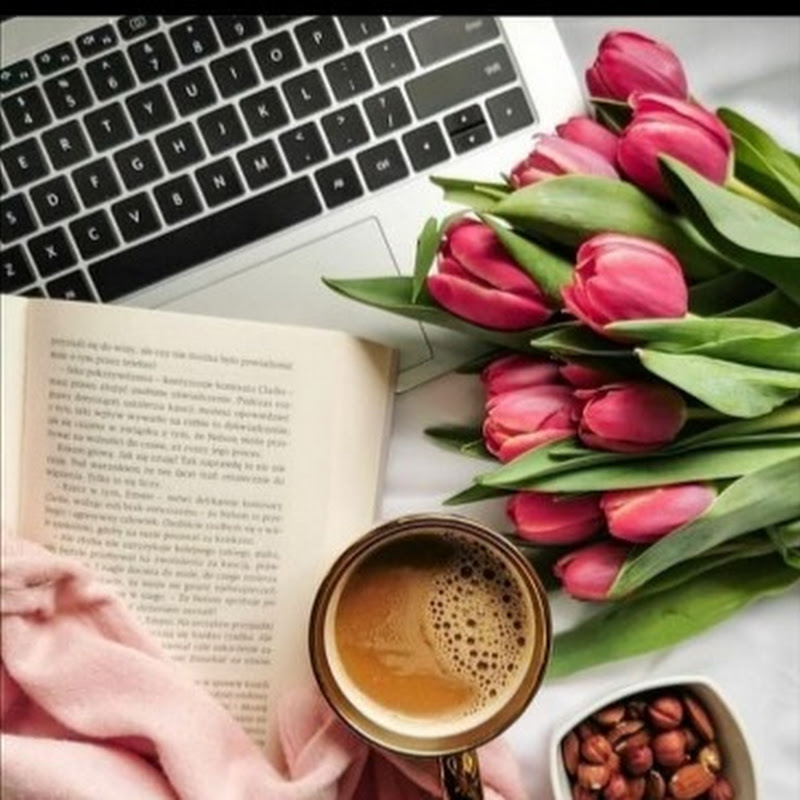 فاتي نيوز fati news