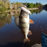 "Helsinki Street Fishing"