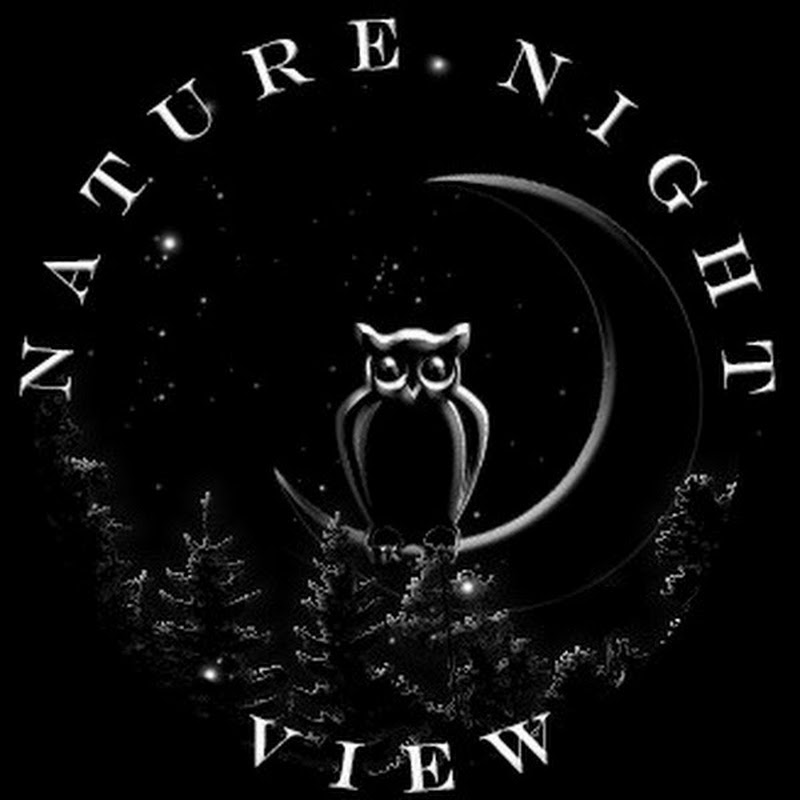 Nature Night View