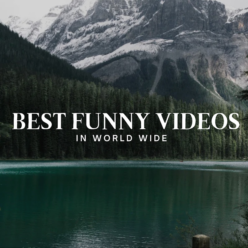 Best Funny Videos In World Wide