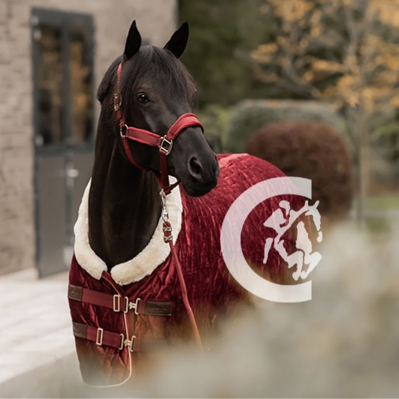 Kentucky Horsewear