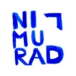 Alexandru Nimurad