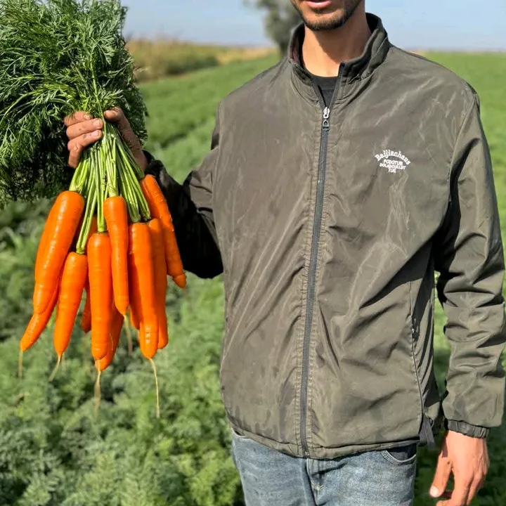 الزراعة العصرية