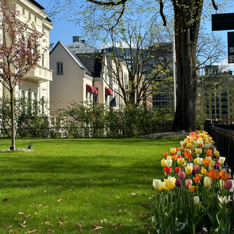 Mira Noruega