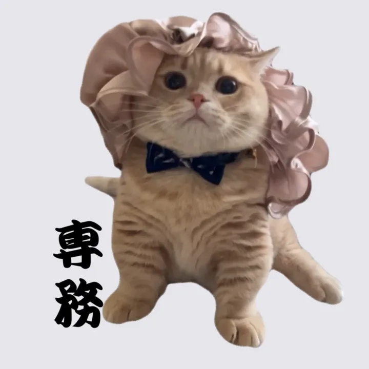 専務🐾