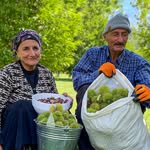 Sweet Village | YouTube Channel 700K+