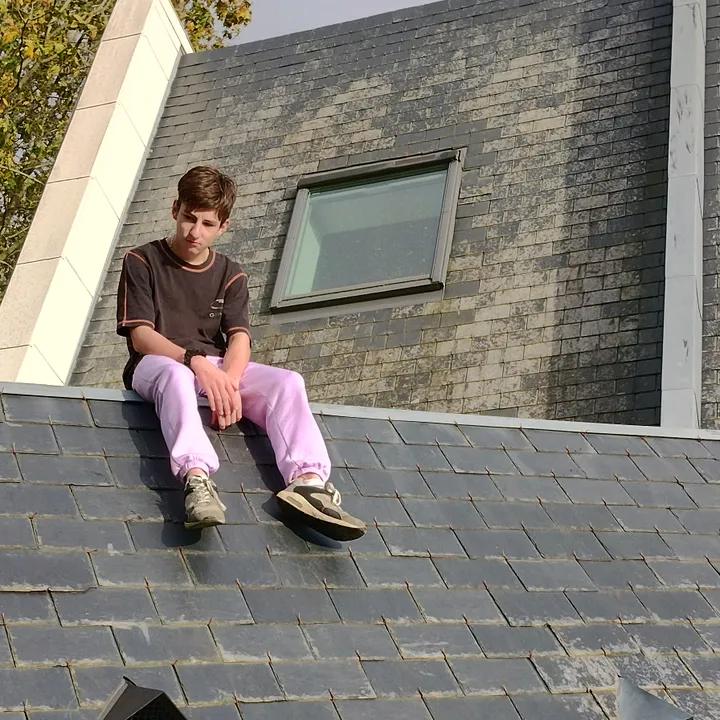 geslinLouisyt