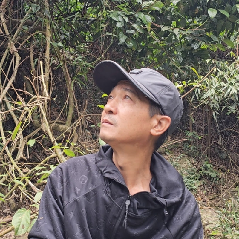 Út Trần 
