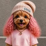 Cocoa