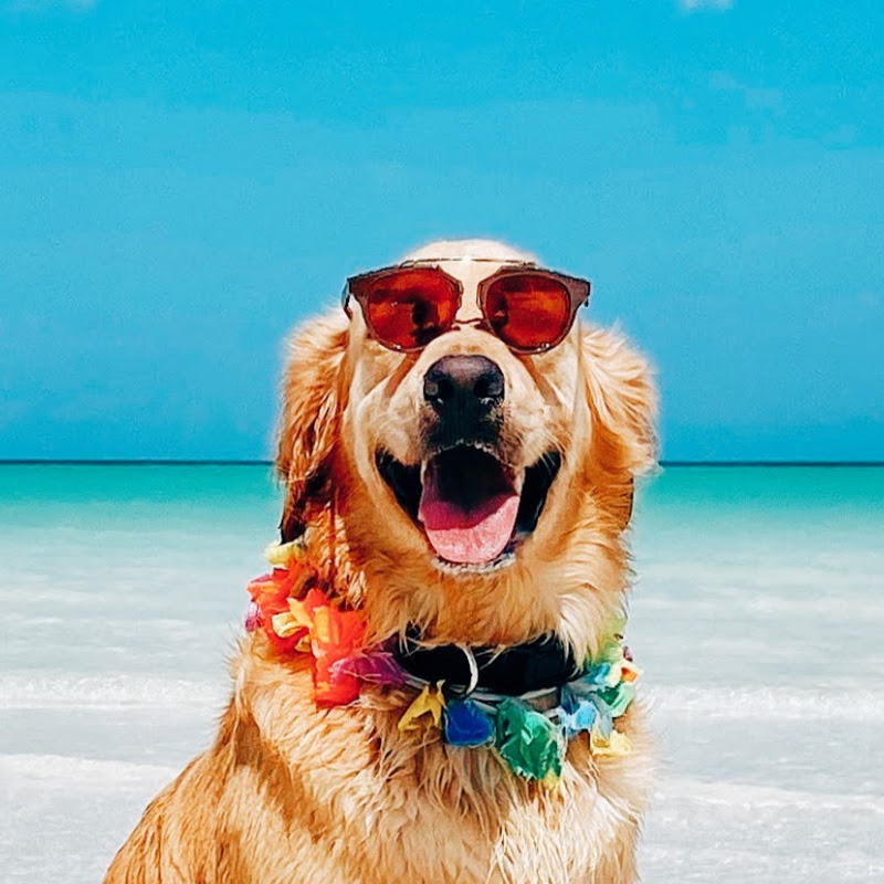 Murph Holbox