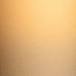 박성재 Sung Jae Park