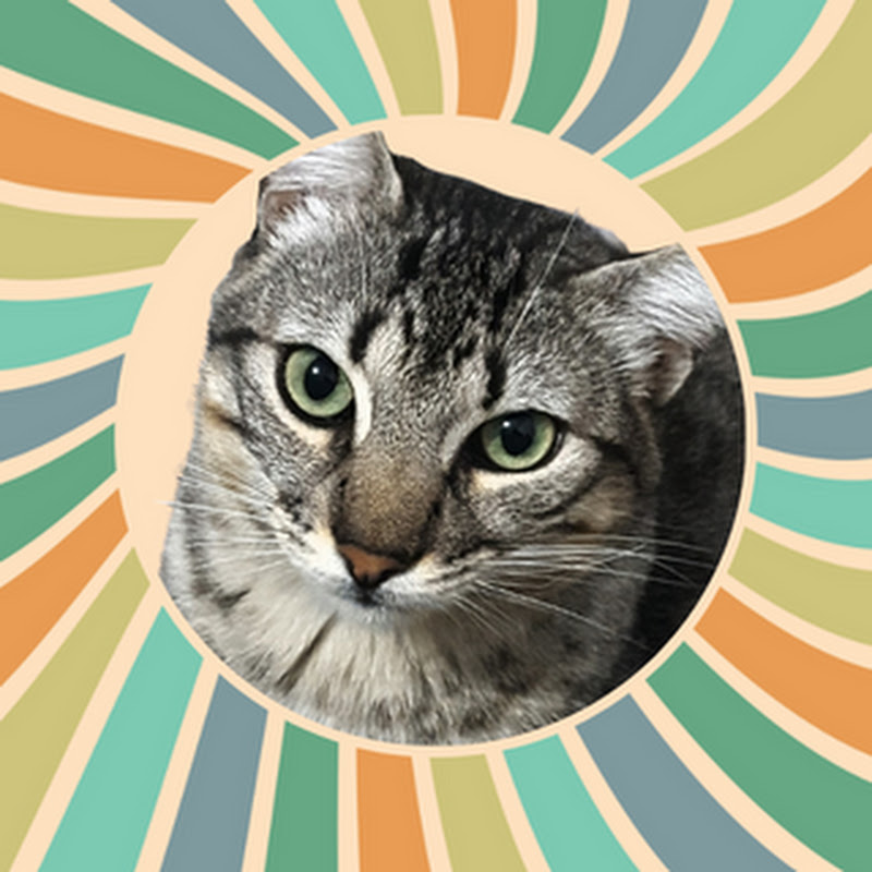 Titito el Gatito