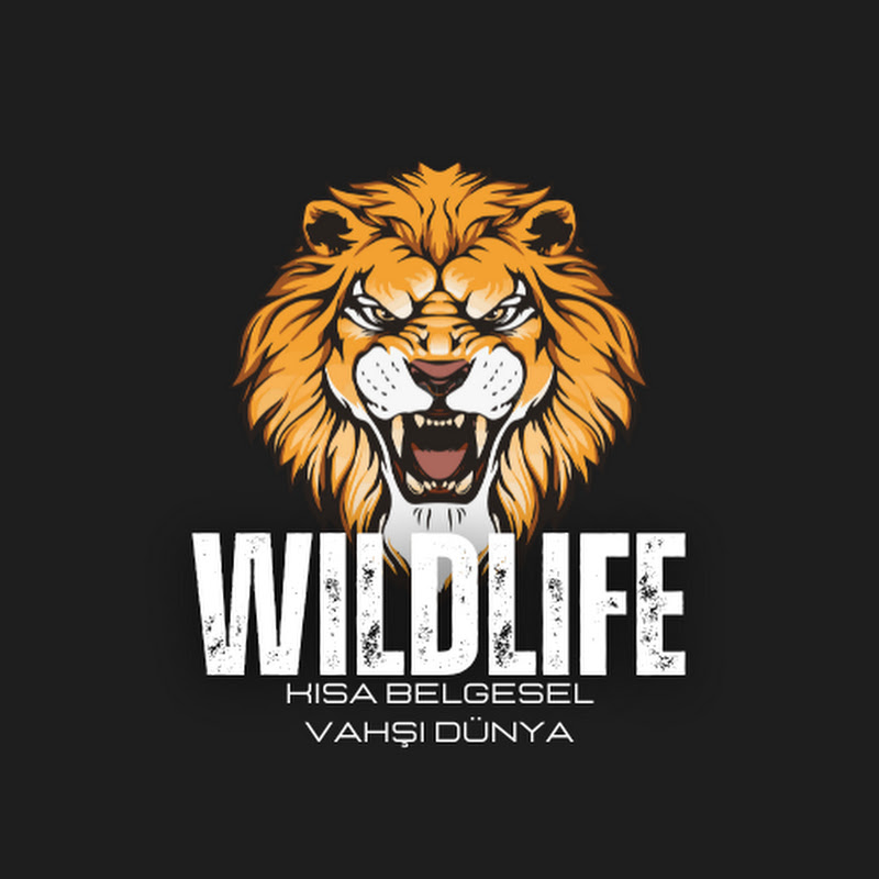 WildLife : Kısa Belgesel Vahşi Dünya