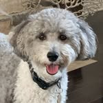 Cooper of Fonthill 🇨🇦