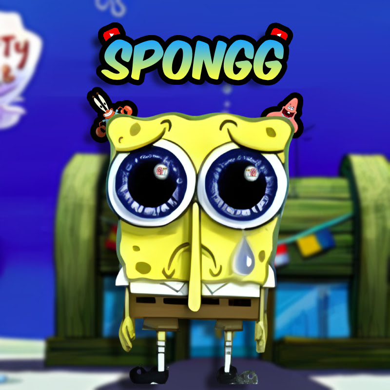 spongg