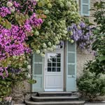 🌷Lydia - Maison • Famille • Animaux • voyages