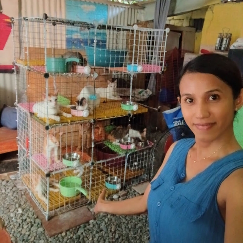  YANNI  AND THE PETS VLOG