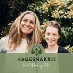 Hagesnakkis