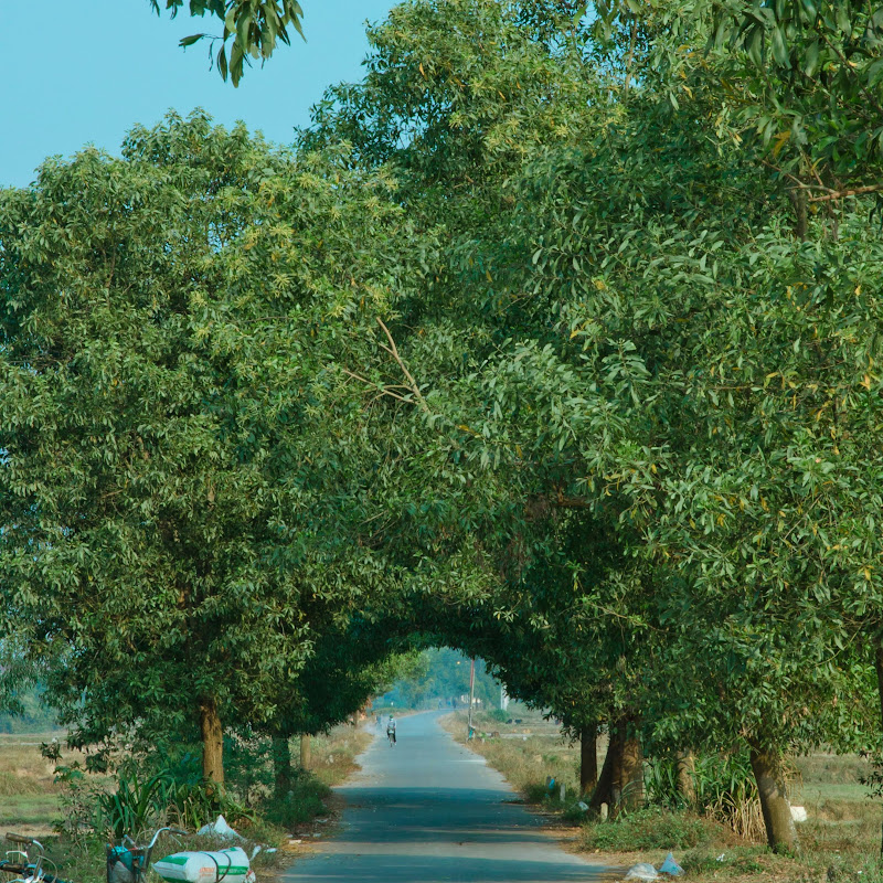 Vĩnh Long Quê Tôi