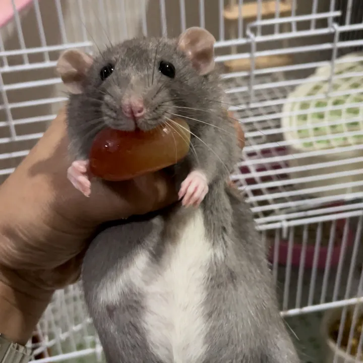 sweetyellow